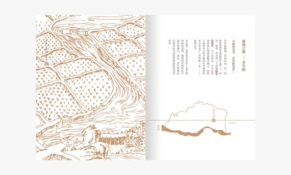 原阳大米水牛稻画册设计7