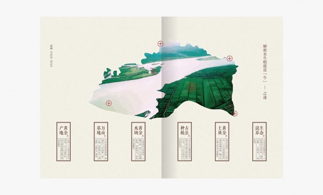 原阳大米水牛稻画册设计8