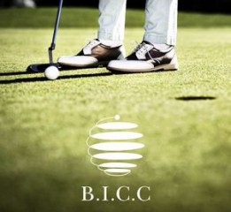 宝山高尔夫俱乐部品牌设计