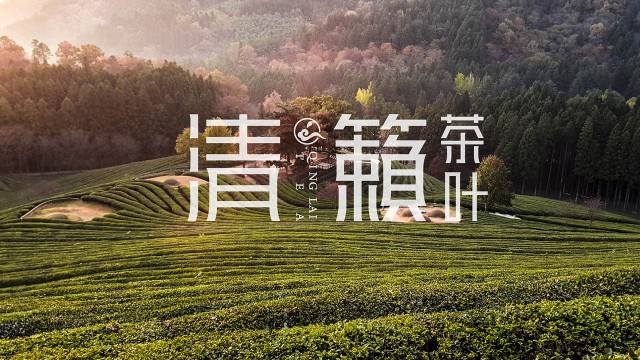 清籁茶品牌LOGO形象设计·黑马奔腾策划设计