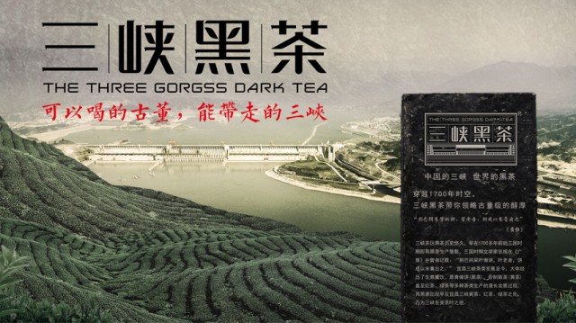 三峡黑茶广宣画面设计 · 黑马奔腾策划设计
