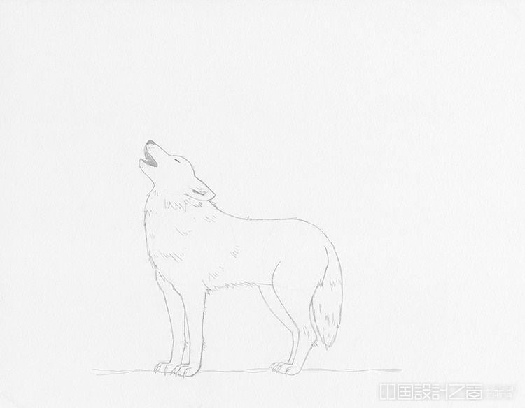 学习如何画一只对着月亮嚎叫的狼