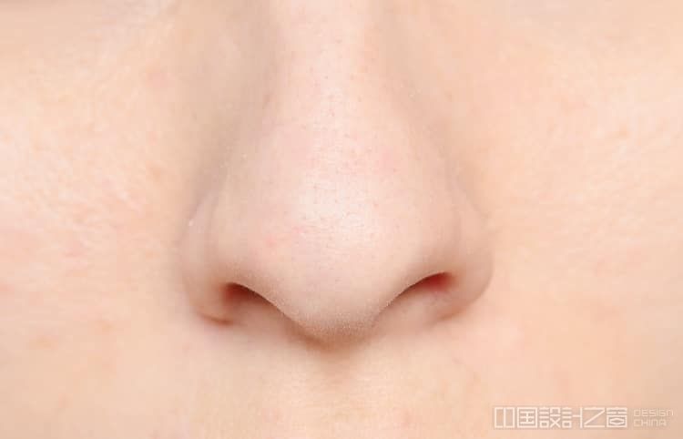 几个简单的步骤教你画出各种类型的鼻子