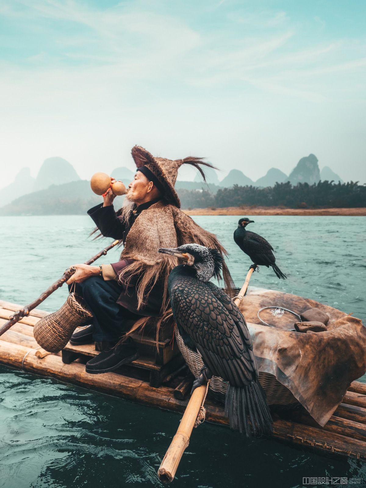 cormorant fishing by peter yan travel photography