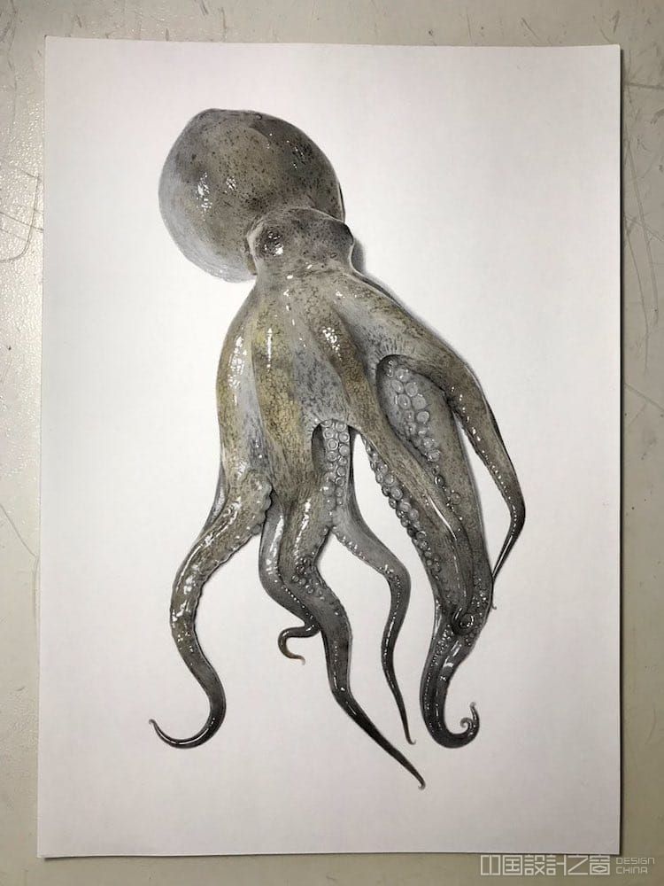 插画家分享了3d章鱼画的创作过程,教你练就湿而闪亮的外观