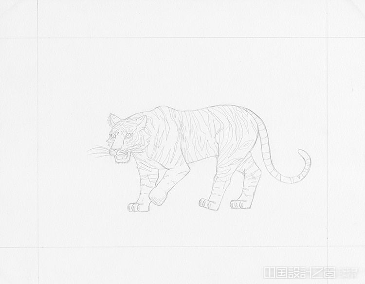 how to draw a tiger drawing tutorial